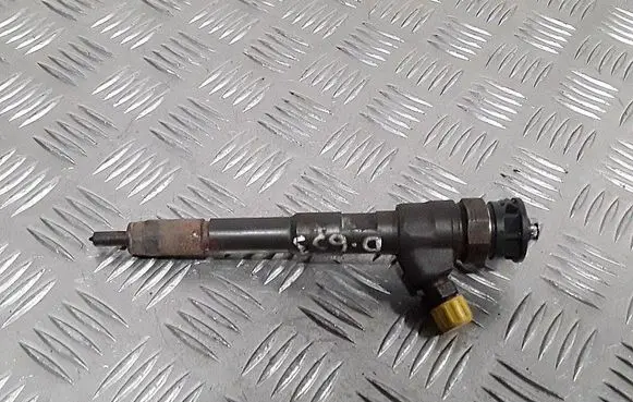 Renault Kangoo II Fuel injector 0445110485 H8201108033
