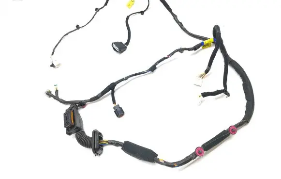 Front door wiring loom