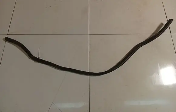 Volkswagen PASSAT B6 Engine compartment rubber 