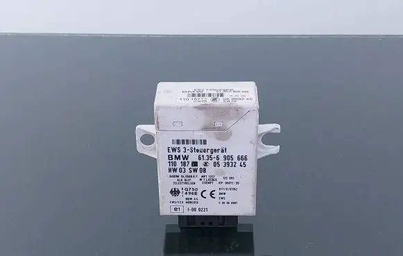 BMW X5 E53 Immobilizer control unit/module 61356905666