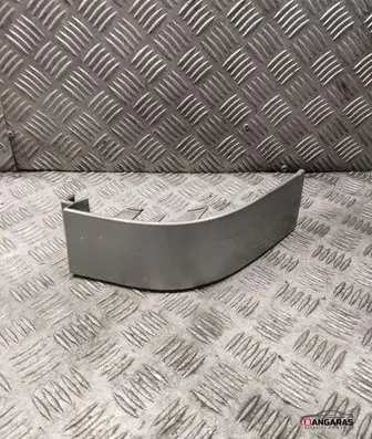Rear/tail light trim molding