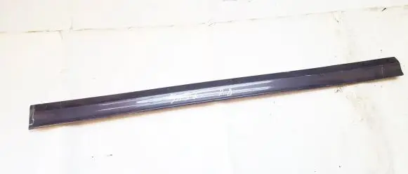 Front door trim (molding)