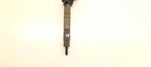 Mercedes-Benz R W251 Fuel injector 6420700587 6420701987