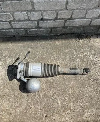 Volkswagen Phaeton Shock absorber/damper/air suspension 3D0616001K 168ATE03737295E