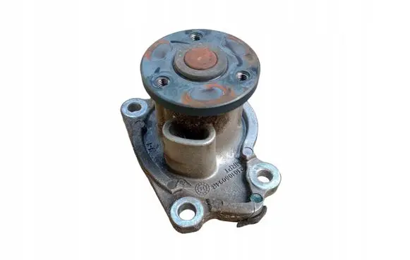 Renault Captur Water pump 210106094R