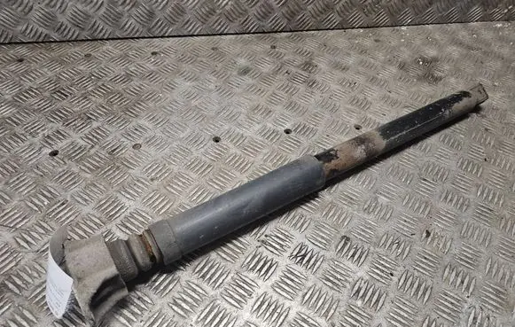 Ford Focus C-MAX Rear shock absorber/damper 1234