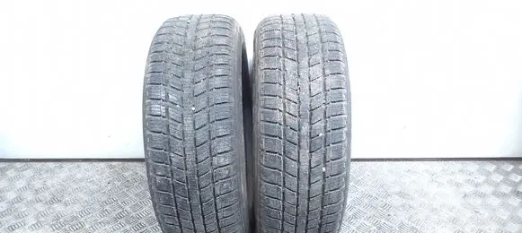 Volkswagen PASSAT B4 R15 winter tire 19565R1591H ICEPLUS ZETEX