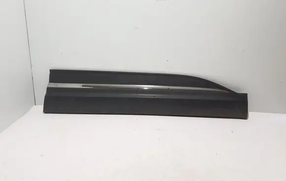 Renault Koleos II Front door trim (molding) 808203752R