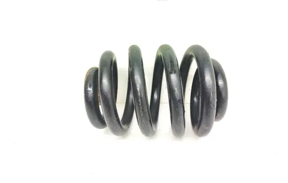 Rear coil spring