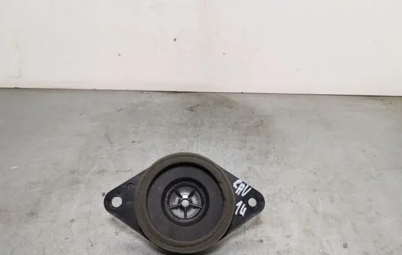 Toyota RAV 4 (XA40) Panel speaker 8616052340