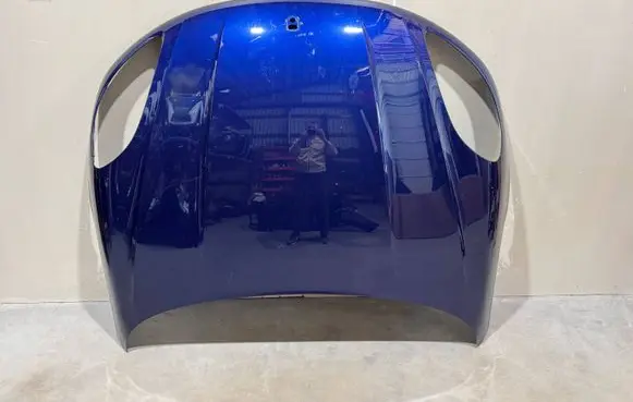 Engine bonnet/hood