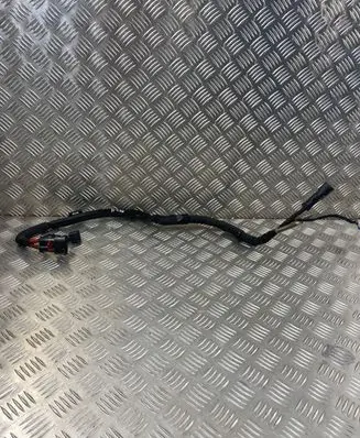 Audi A4 S4 B9 Other wiring loom 8W0971824E