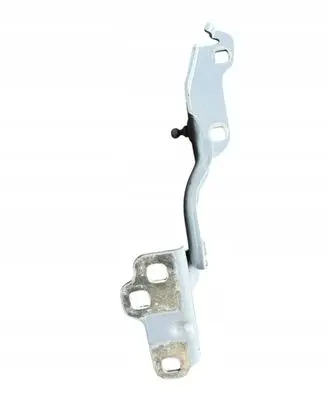 Renault Trafic III (X82) Engine bonnet/hood hinges 654013776R
