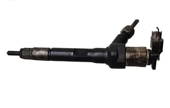 Citroen Berlingo Fuel injector R2AA13H50