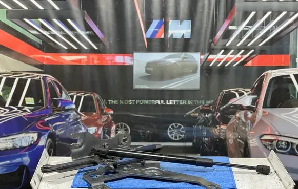 Engine bonnet/hood hinges