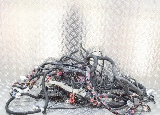 Tesla Model S Other wiring loom 302664602A 111237900E