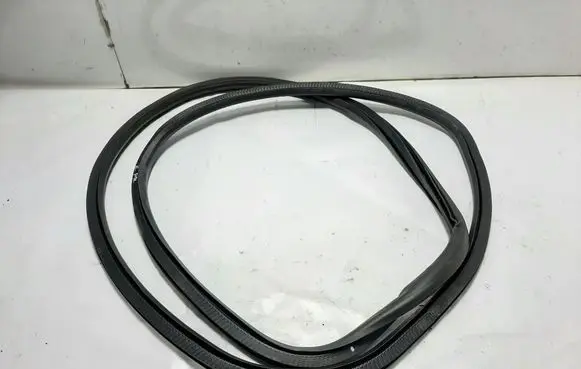 Opel Insignia B Rubber seal front coupe door 