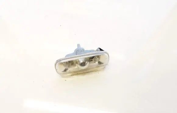 Front fender indicator light