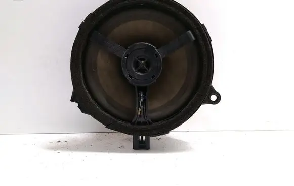 Rear door speaker