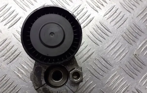 Renault Megane II Alternator belt tensioner pulley 950649