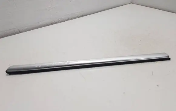 Opel Zafira C Front door glass trim molding 20808478 507576986