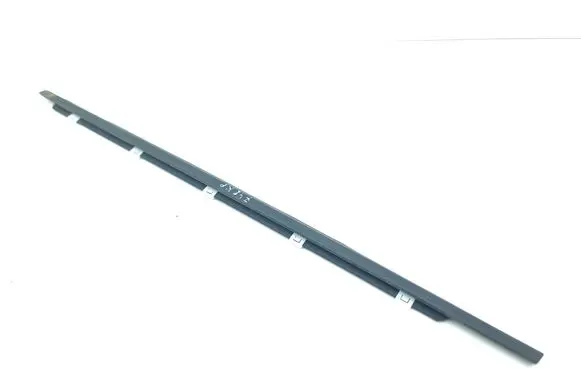 KIA Optima Front door glass trim molding 