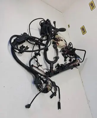 Engine installation wiring loom