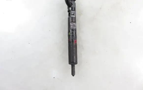 Renault Kangoo I Fuel injector 28232248ES