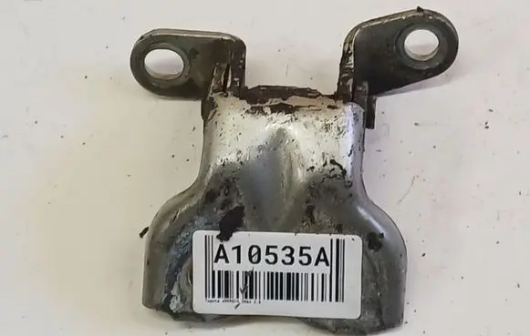 Rear door lower hinge