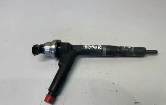 Opel Combo C Fuel injector 8973138613
