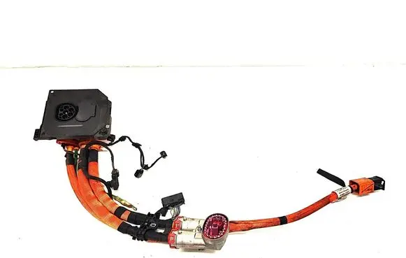 Mercedes-Benz EQE v295 Other wiring loom A2955409218