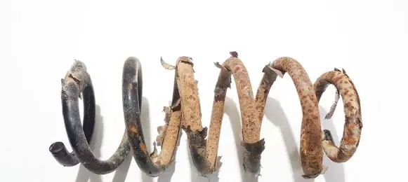 Rear coil spring