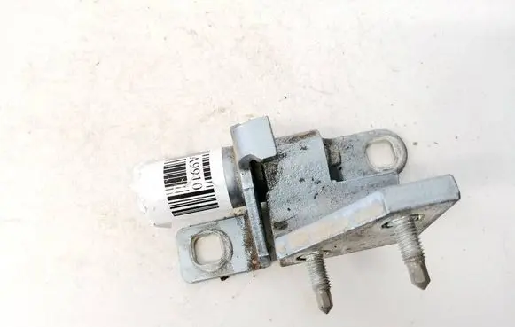 Rear door lower hinge