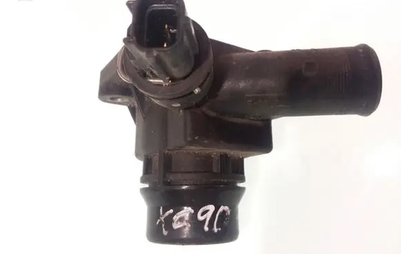 Thermostat/thermostat housing