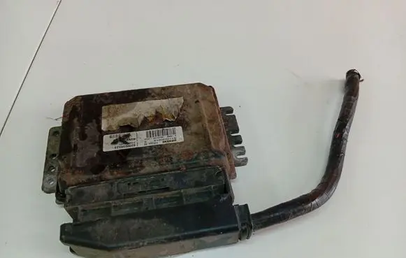 Renault Scenic I Engine control unit/module 8200036523