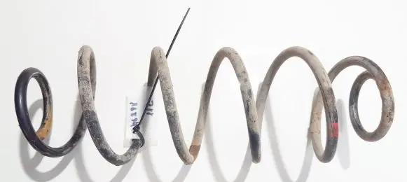 Rear coil spring
