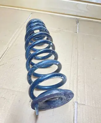 Hyundai Kona I Rear coil spring 55370C1100