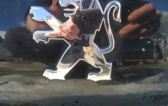 Manufacturer badge logo/emblem