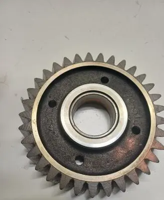Volkswagen Transporter - Caravelle T5 Timing chain sprocket 070109437D