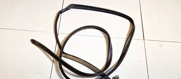 Opel Zafira A Rubber seal front coupe door 024418755 2812