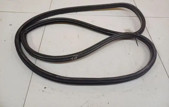 Opel Signum Rubber seal front coupe door 