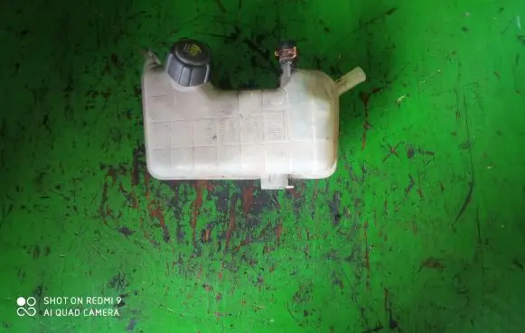 Renault Scenic II - Grand scenic II Coolant expansion tank/reservoir 8200262036