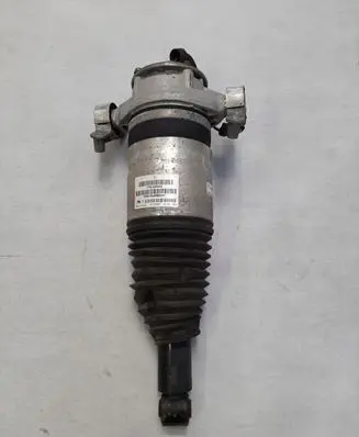 Porsche Cayenne (92A) Rear shock absorber/damper 7P5616020AG