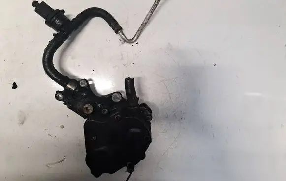 Volkswagen Golf V Vacuum pump 038145215
