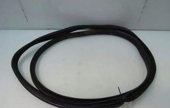 Hyundai i20 (BC3 BI3) Rear door rubber seal (on body) 