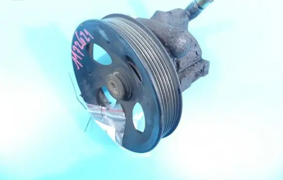 Electric power steering pump
