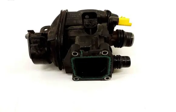 Opel Grandland X Thermostat 9807198480