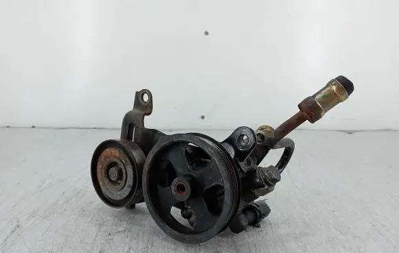 Toyota RAV 4 (XA20) Power steering pump