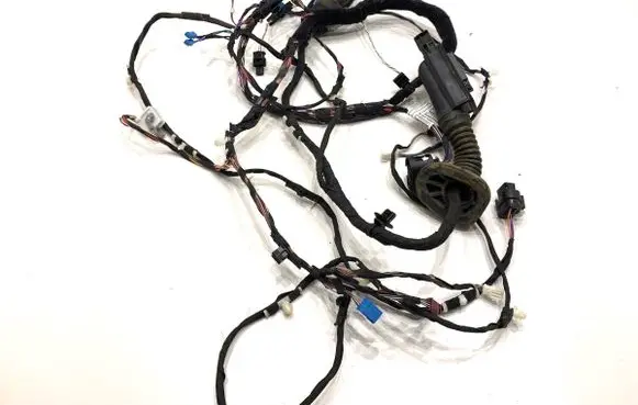 BMW 5 G30 G31 G38 Front door wiring loom 9841253
