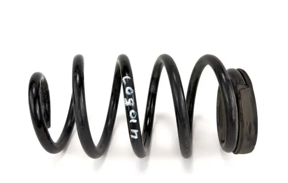 Dacia Sandero Rear coil spring 8200257863D